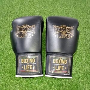 Professional Boxing Gloves for Training, Sparring & Punching – Premium Leather M